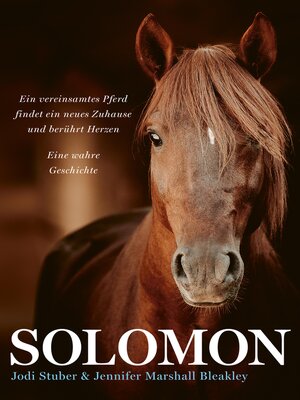 cover image of Solomon